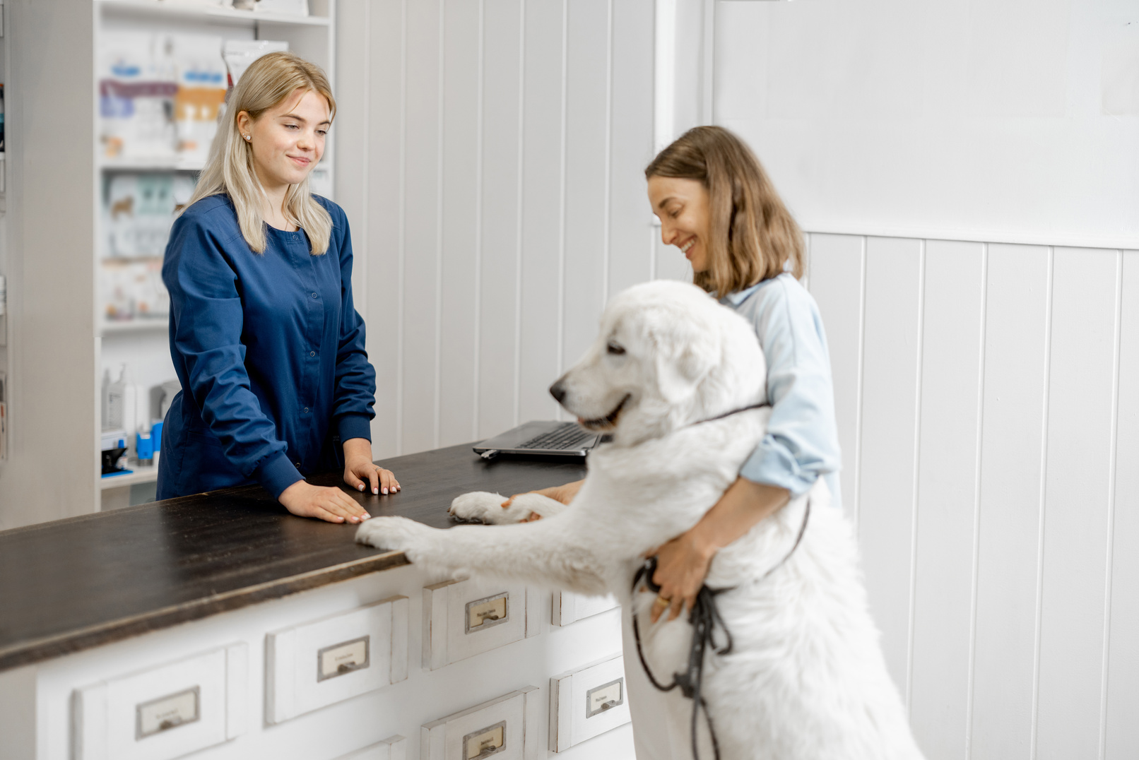 Woman with Big White Dog in Veterinary Clinic